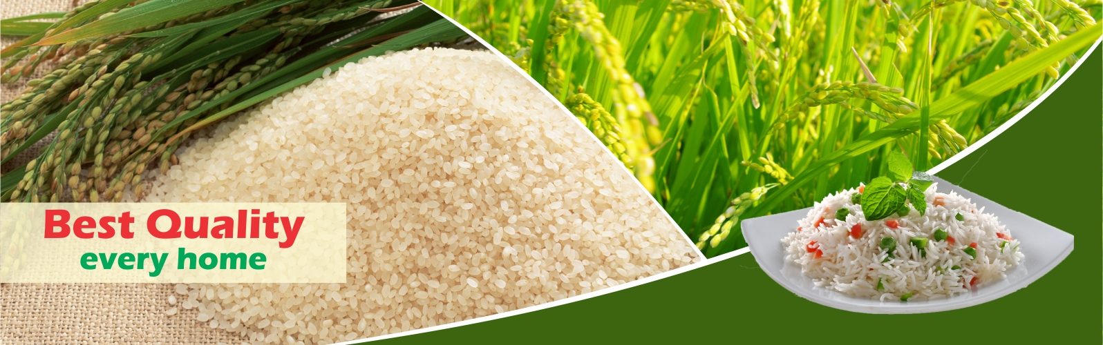 GPS Rice Mill